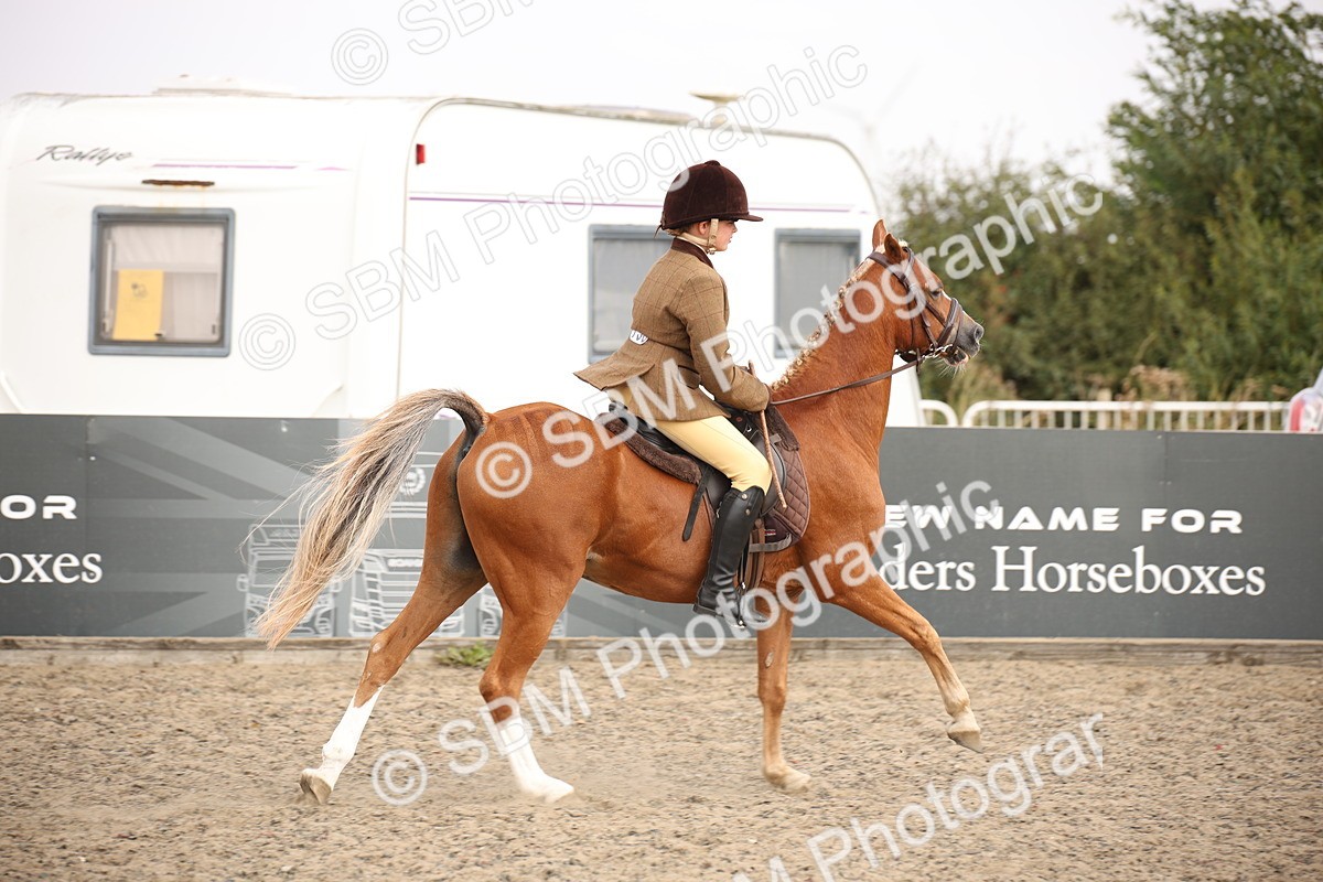 SBM_12644 - Class 405b - M&M Working Veteran 50cm 20+