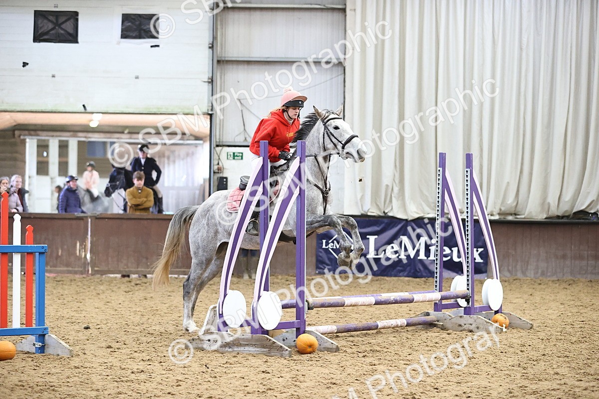 SBM_001451 - Class 3 - Horse & Hound 60cm