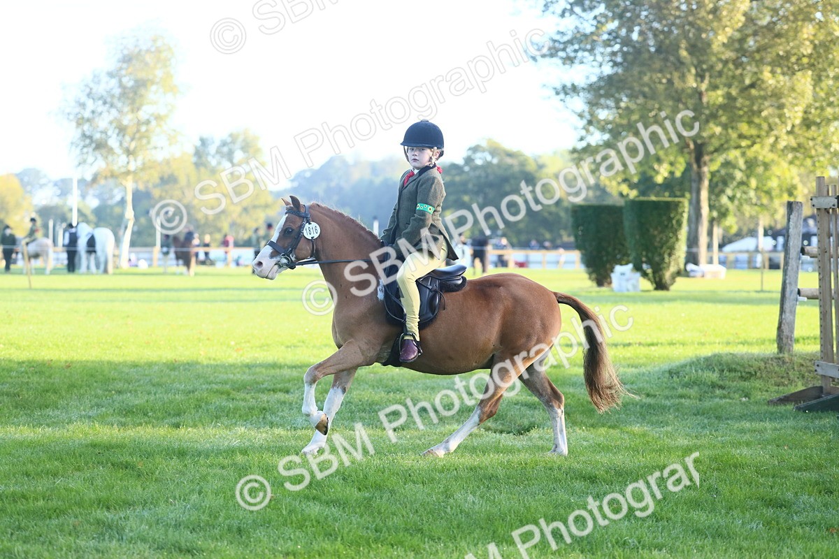 SBM_37232 - S29 - Novice & Newcomers Working Hunter Pony
