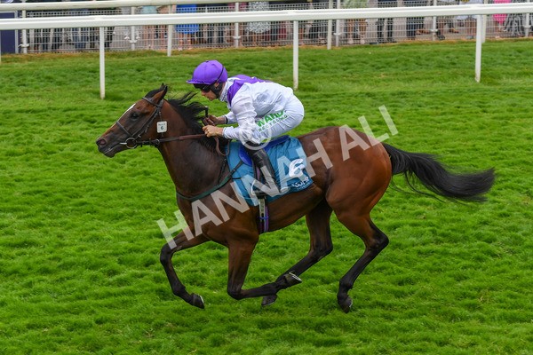 170623-Race 5-Twilight Romance-0791 - Race 5 4.15pm Reg Griffin Appreciation ebfstallions.com Maiden Stakes