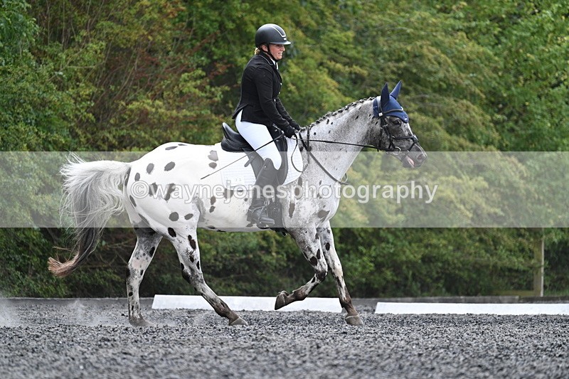 WJ7_7621 - Time 13:21 to 13:38