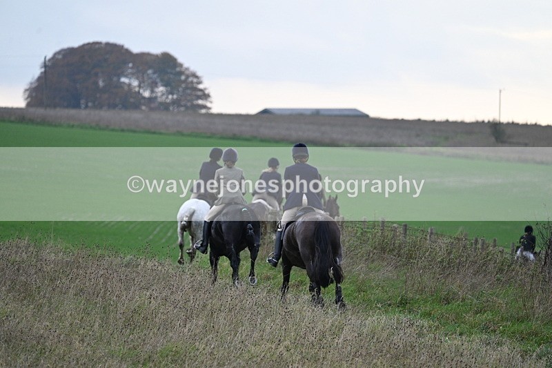 WJ7_0029 - Camera 1 & Last fence