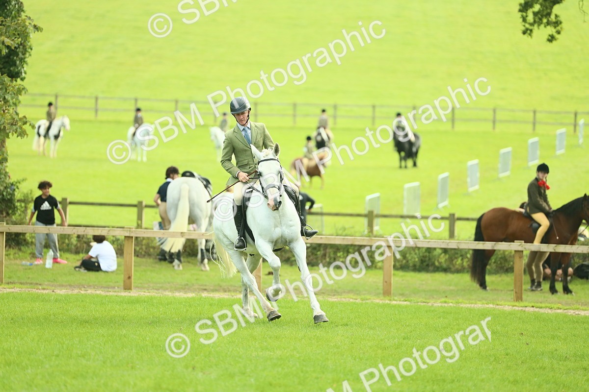 SBM_52108 - S33 - Working Hunter & Working Show Horse