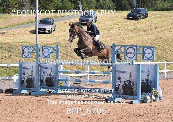 BPP_6705 - CLASS 13 FRI HOYS Talent Seeker Qualifier Inc 7 Year Old Horse Championship Qualifier