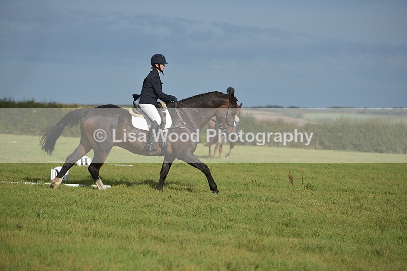 RAY_7516 - Class 2B: Trekenning Open: Dressage
