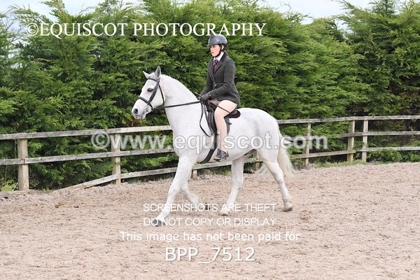 BPP_7512 - RING 1  (RIDDEN HORSES / IN HAND / VETERAN ETC)