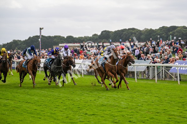 220824-Race 3-Thunder Run-7027 - Race 3 3.00pm Clipper Handicap