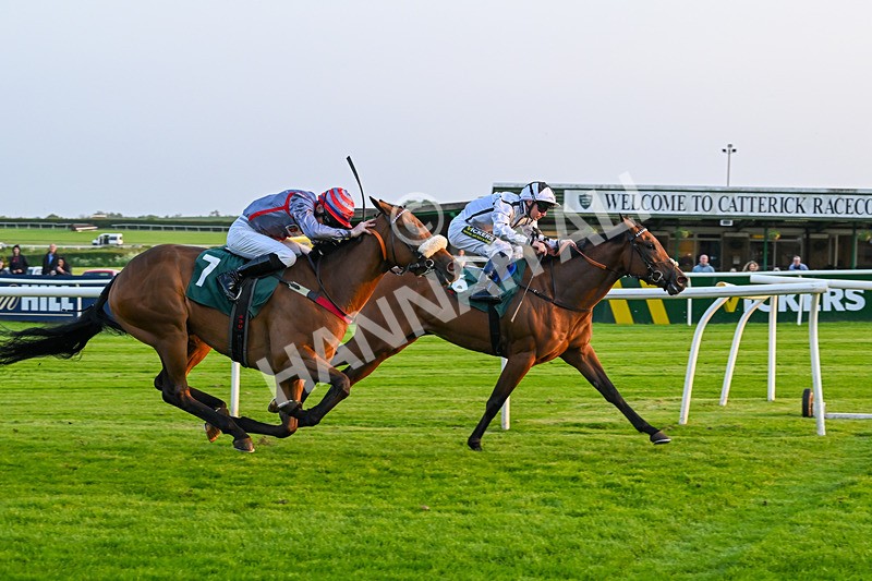 310524-Race 5-Dusk Dame-8949 - Race 5