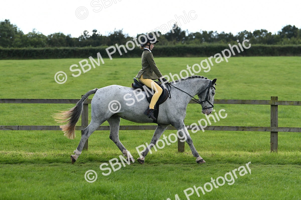 SBM_46755 - S12 - Family Horse & Pony
