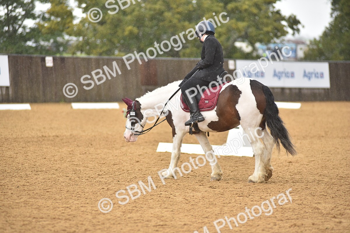 SBM_00463 - D7 - Small Tour Championship Prelim 2