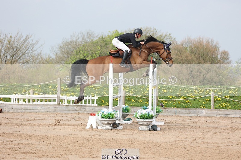 250424-105029-03255 - Cls 33 Young Horse 7yr old