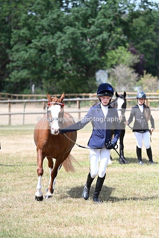 WJ7_1575 - Class 4 Prettiest Mare up to 14.2hh in hand