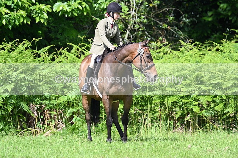WJ7_1156 - Class 11 Condition & Turnout