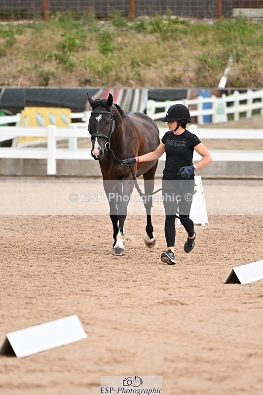 250716-145858-01568 - Trot Up 2.30 to 3.30