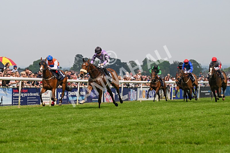 060524-Race 2-Brummell-5989 - Race 2