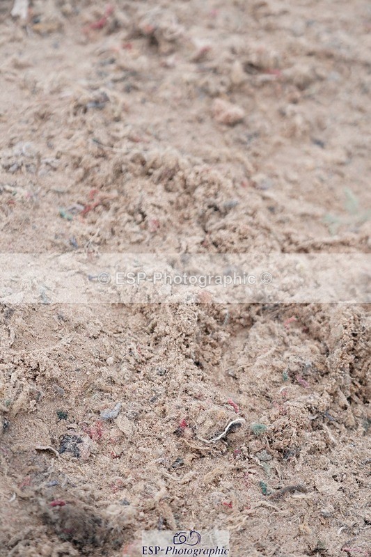 250607-124456-00976 - Cls 31+33 Club and Schools 1m