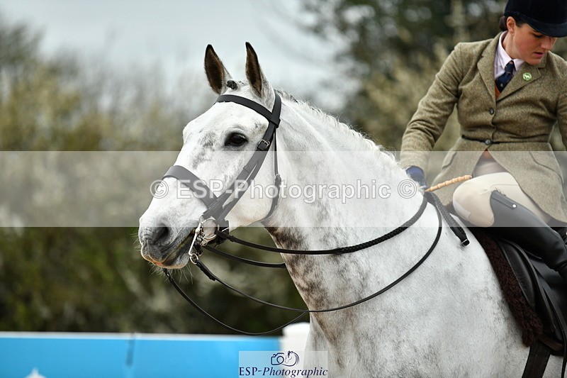 230416A-142044-05101 - Cls 67 Ridden Show Hunter