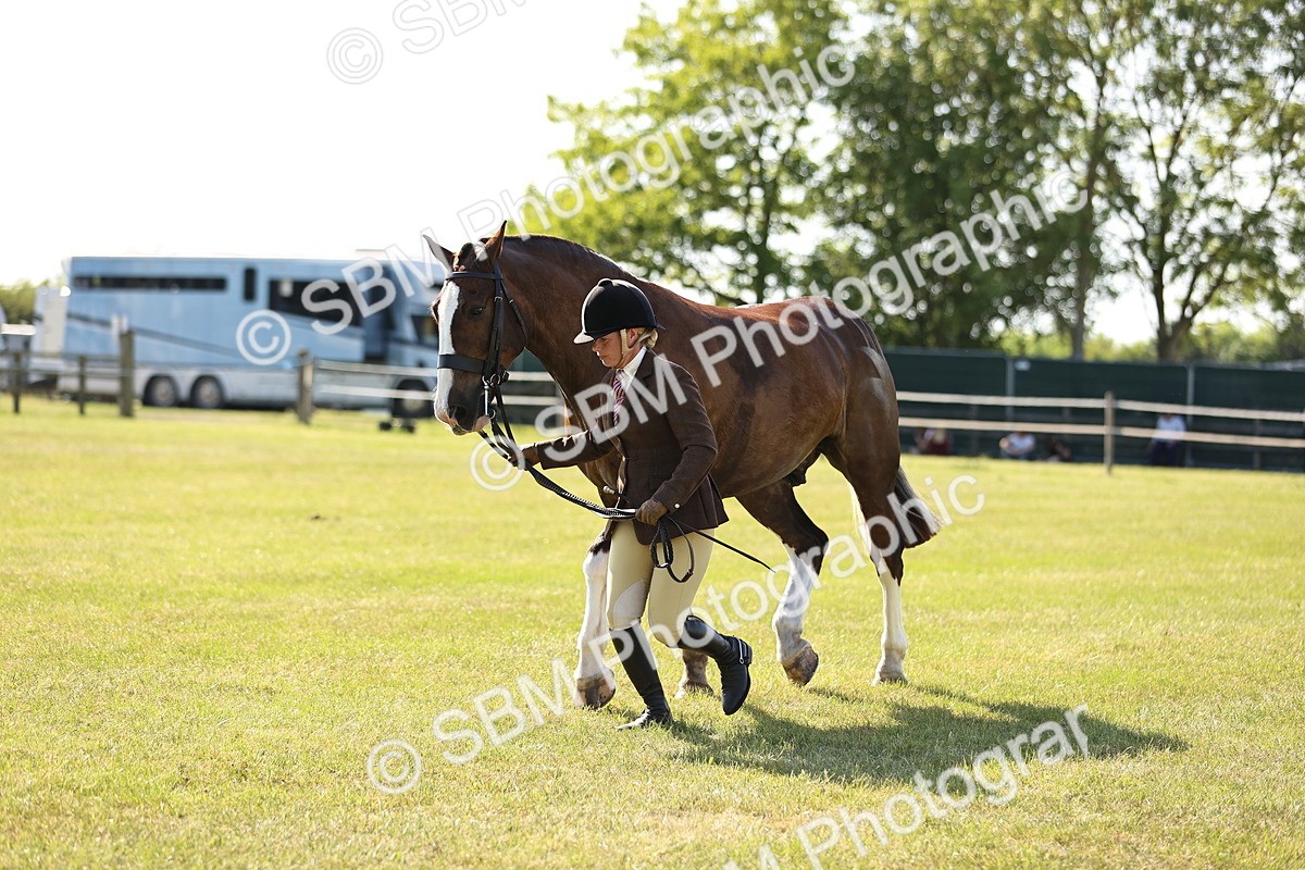SBM_19686 - Class 87-88 - RIHS BSHA Riding Horses