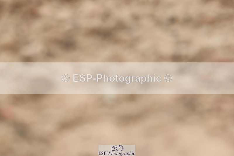 240622A-105208-09394 - Cls 27 BD Novice 37A