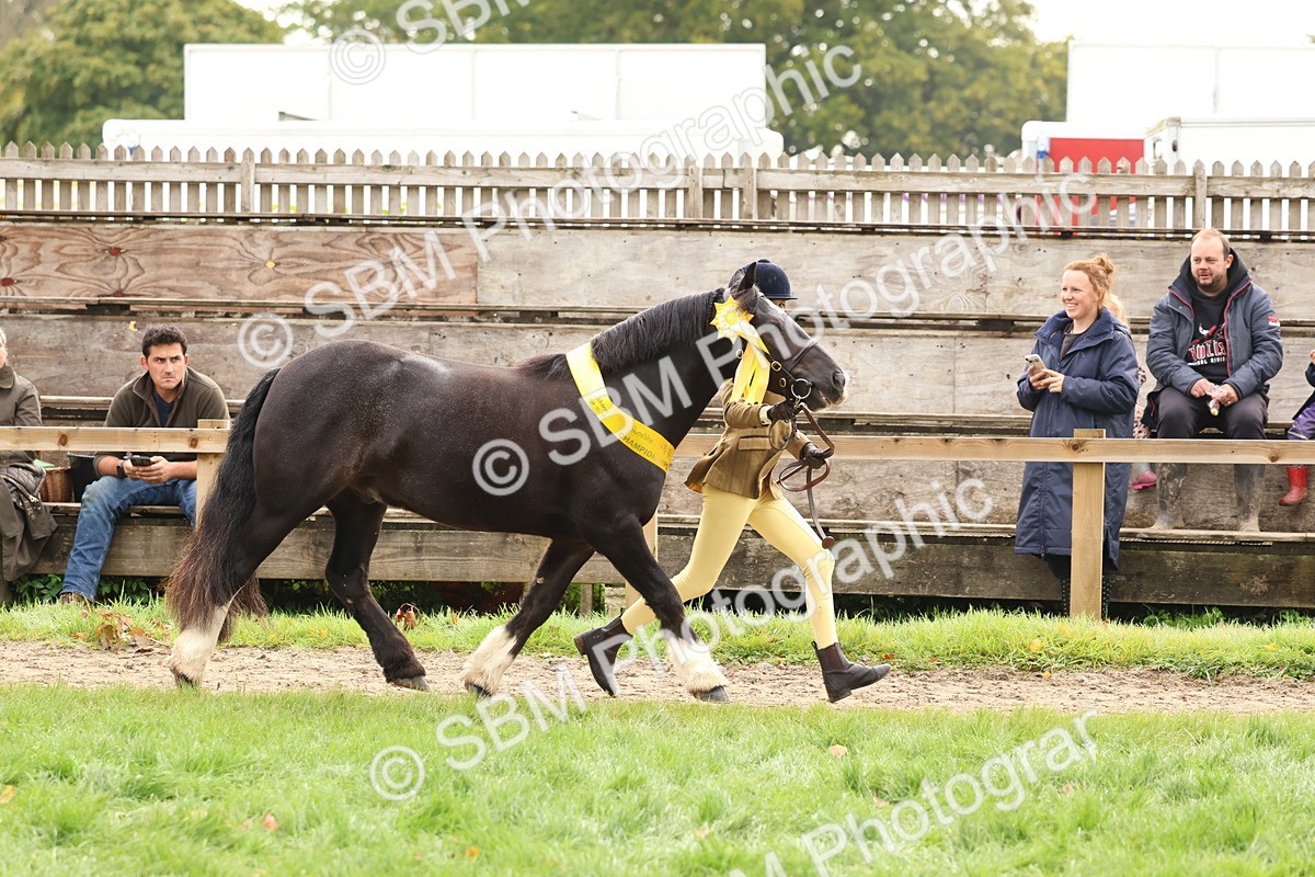 SBM_59768 - Start Supreme Championship