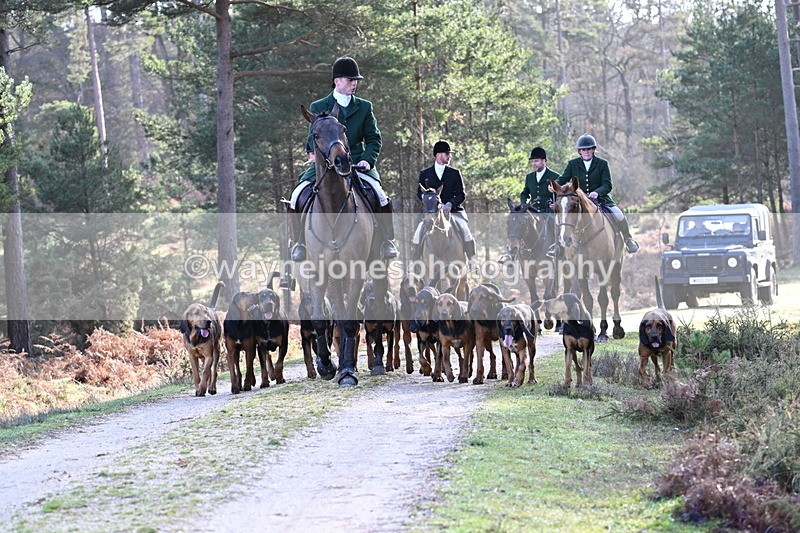 WJ7_7677 - Line 3 (no line 4 or 5)