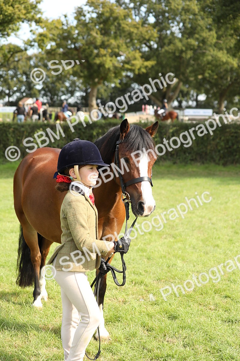 SBM_67754 - S39 - Junior Handler 8  Years & Under