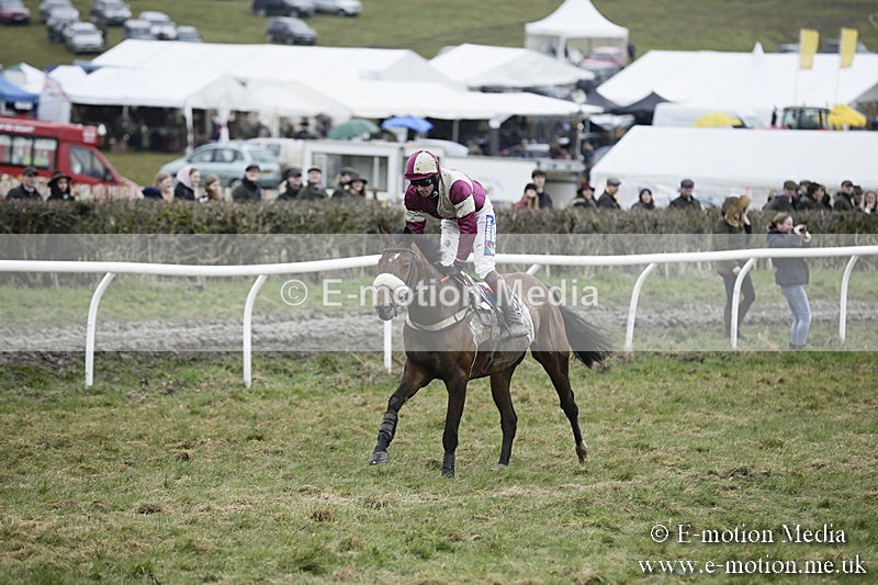 PtP 020418 -497 - Old Berks Point-to-Point Races Easter Monday 02/04/18
