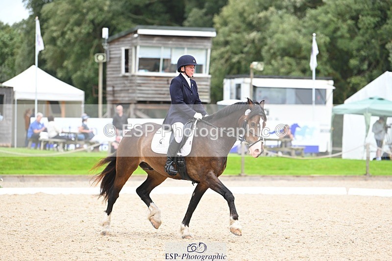 230813-140453-07669 - Cls 13 Medium Bronze 13.15 to End