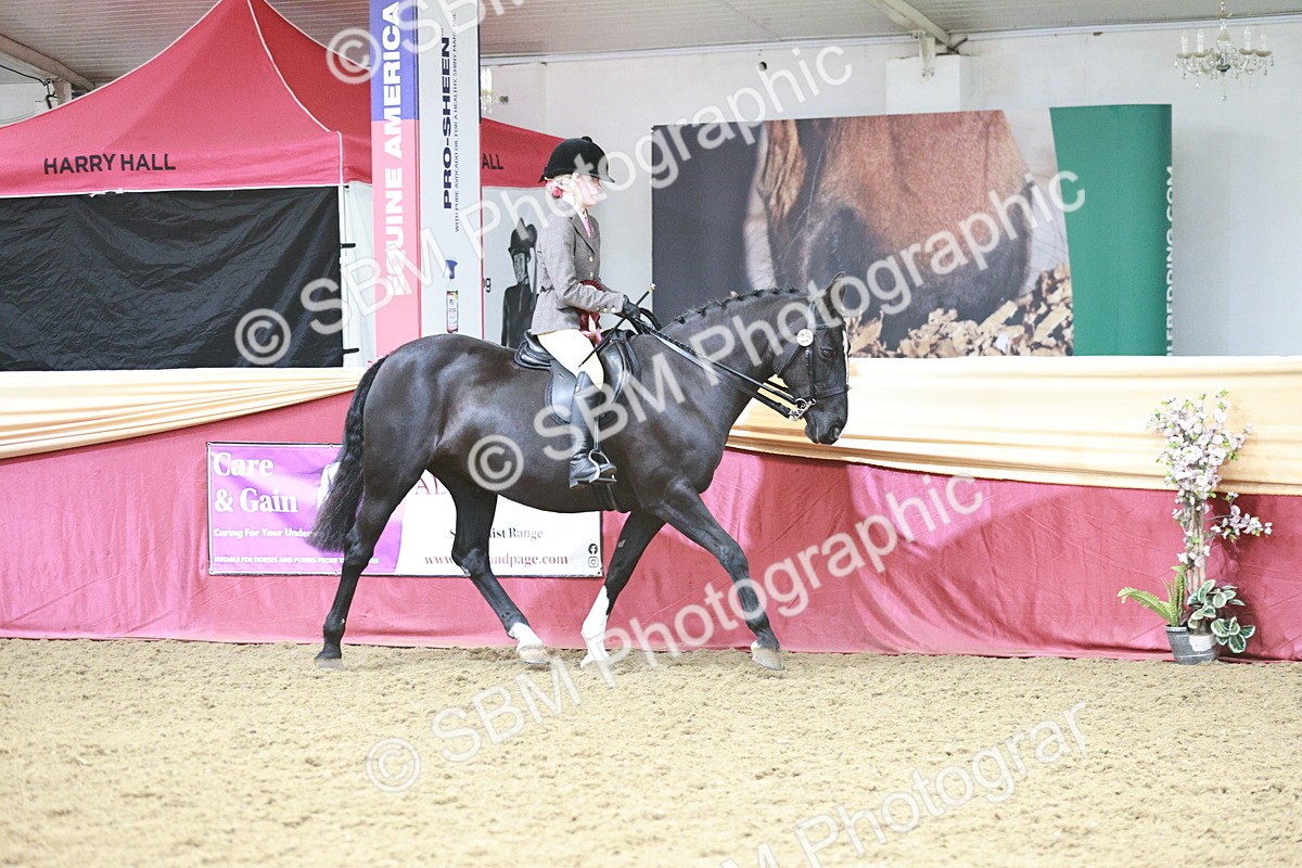 SBM_08641 - Regional Ridden Champ