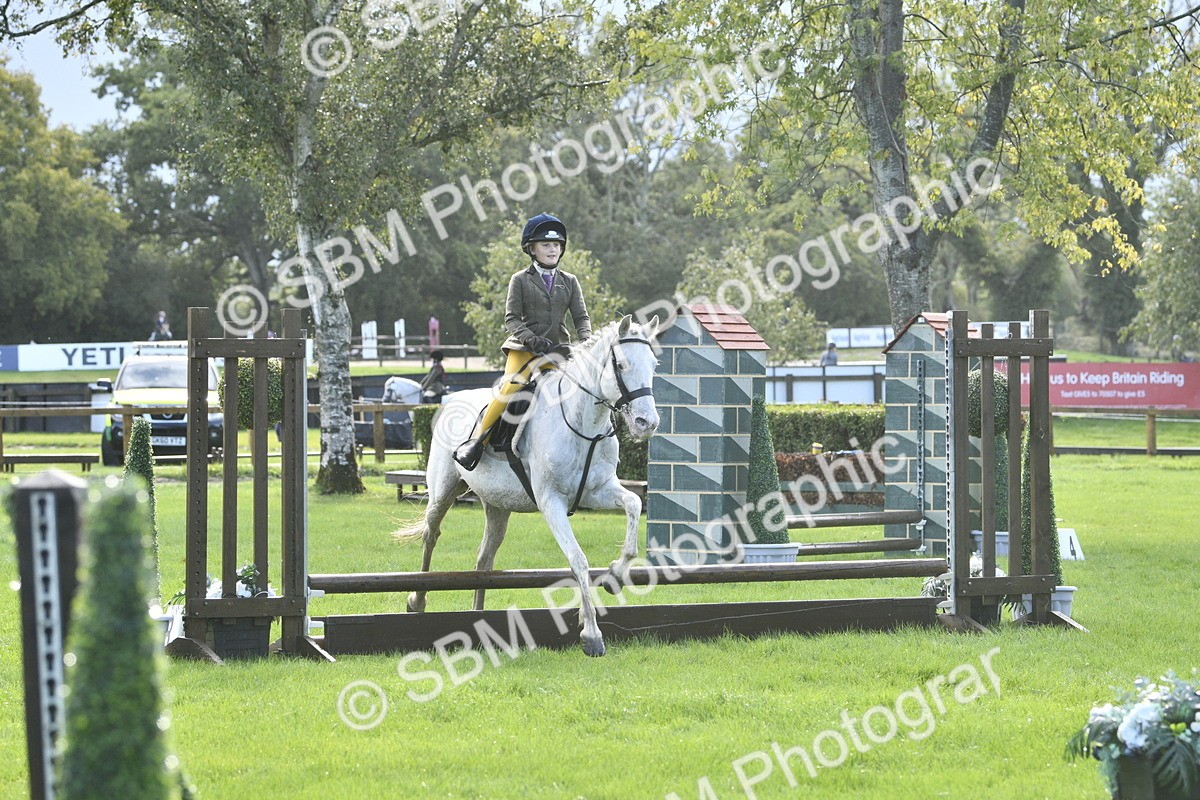 SBM_37210 - S31 - Novice & Newcomer Working Hunter Pony