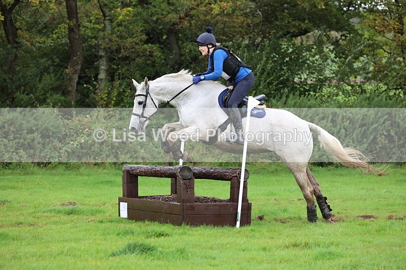 JPP_5453 - Class 4: 80cm: Crossed Logs