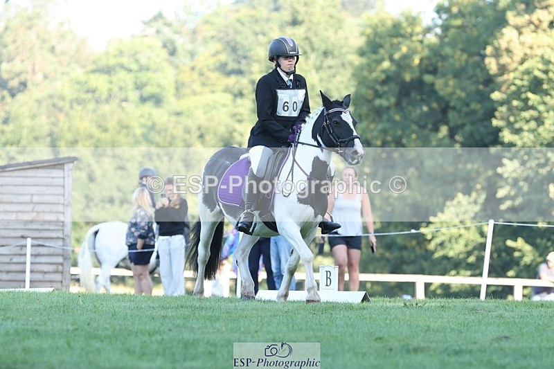 250823A-083821-25742 - Arena D