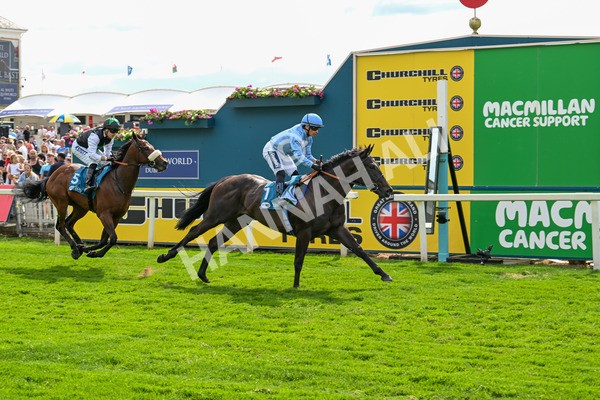 140625-Race 5-Egoli-3100 - Race 5 4.10pm Reg Griffin Appreciation EBFstallions.com Maiden Stakes