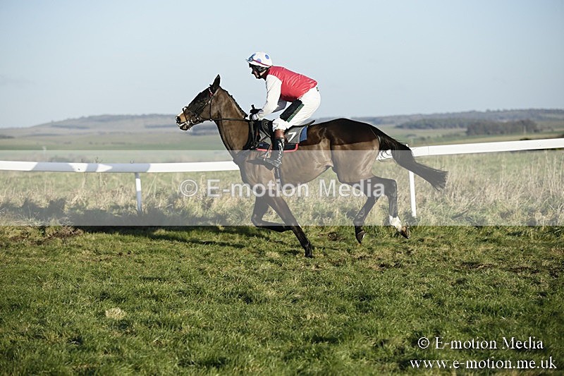 PtP 070118 -504 - Larkhill Racing Club Point to Point Larkhill 07/01/2018