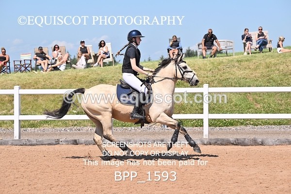 BPP_1593 - THU CLASS 3 Scottish Branch North West Junior Championship **Viewing/Selection class for 148 teams**