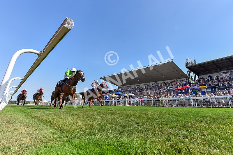130826-Race 4-Shazani-5139 - Race 4 15.45pm Connexin Super Fast Sprint Handicap