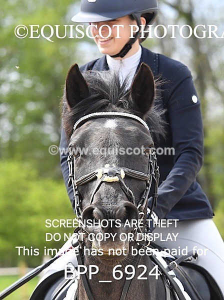 BPP_6924 - CLASS 3 FRI 0.85m Amateur Championship Qualifier