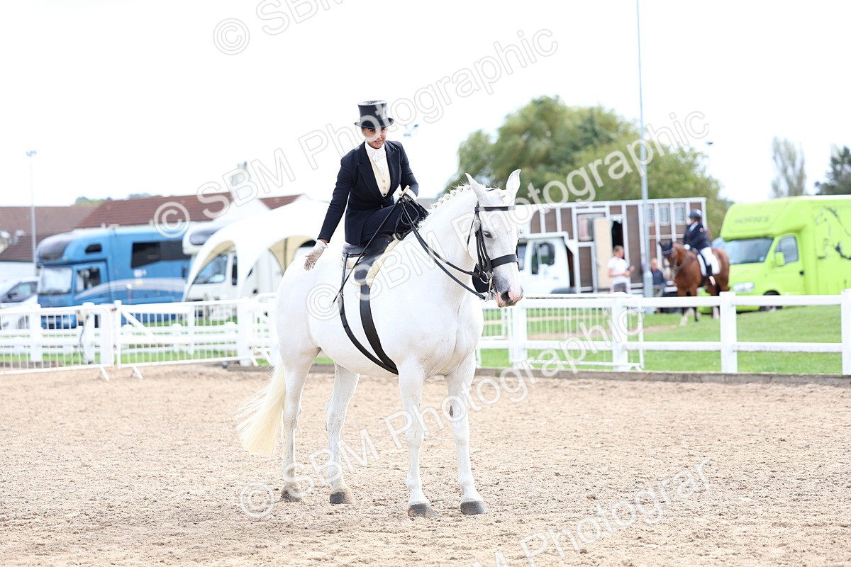 SBM_03437 - Class 24 - SSA Concours d'elegance (any age)