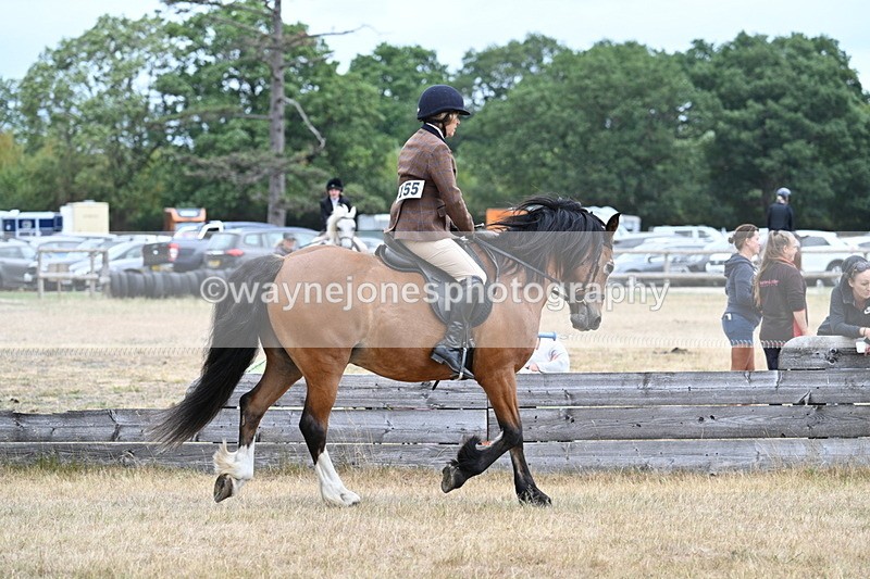 WJ7_0501 - Class 6 Ridden Mountain and Moorland