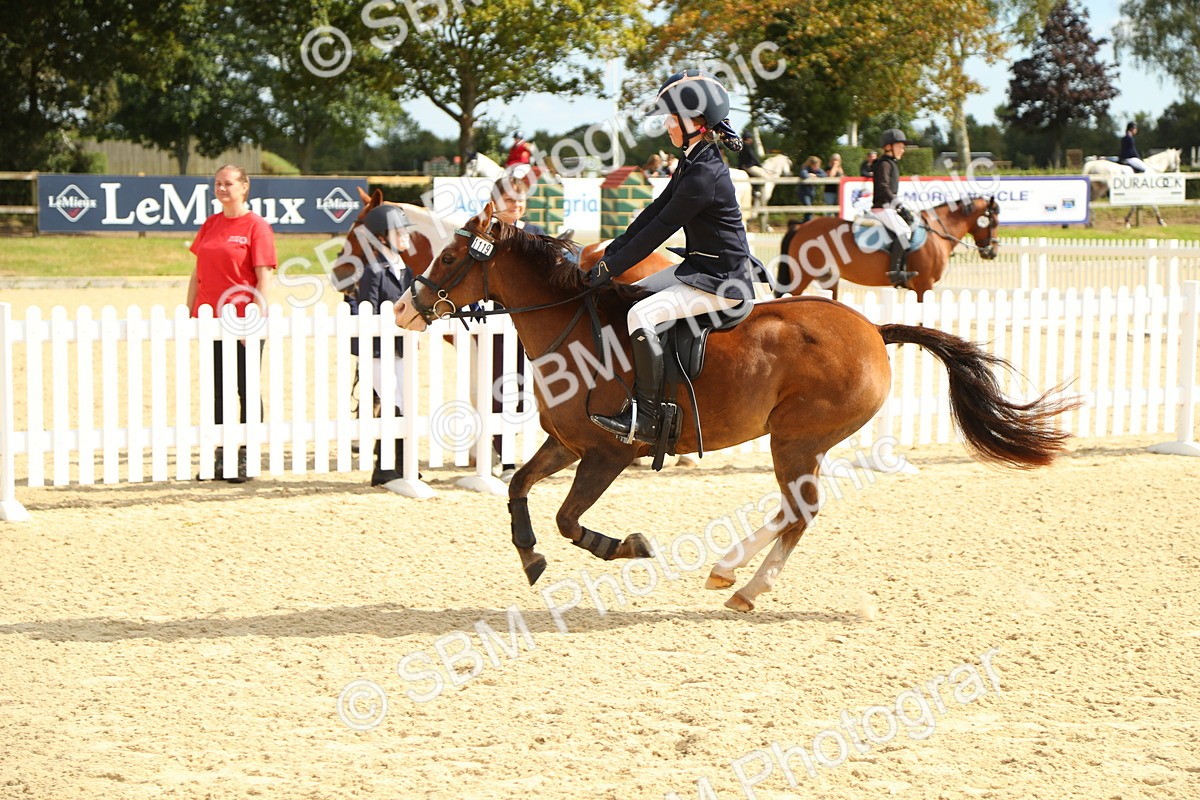 SBM_46304 - Supreme Championship - AM