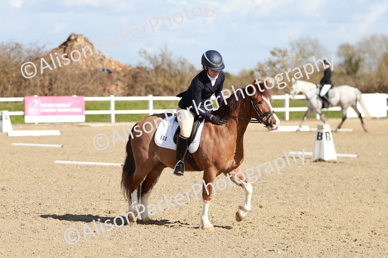 20260314-4311 - DR4 - Prelim 2