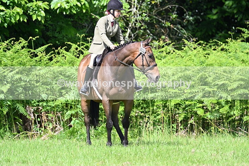WJ7_1158 - Class 11 Condition & Turnout