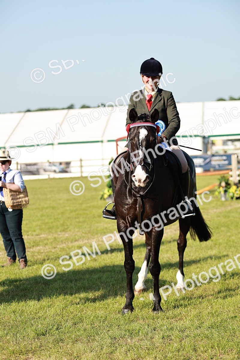 SBM_20132 - Class 115-116 - LIHS BSHA Rising Star Working Hunter & Show Horse