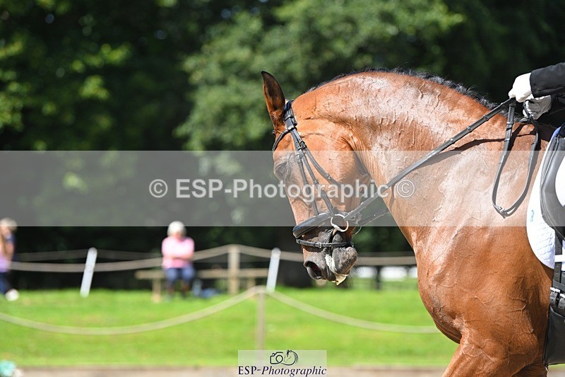 230811-120845-01183 - Cls 4 Adv Medium Silver