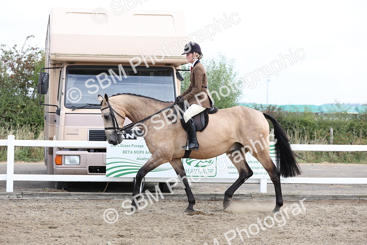 SBM_01492 - Class 52 - Ridden Veteran