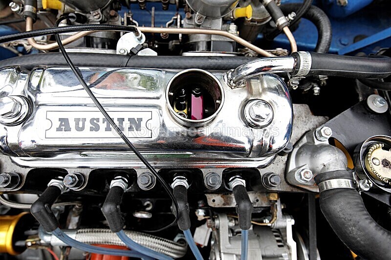 _56A1942 - MINI FESTIVAL 22ND May 2021