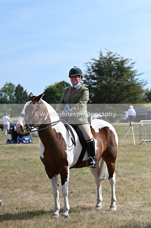 WJ7_7393 - Class 14 Ridden Coloured