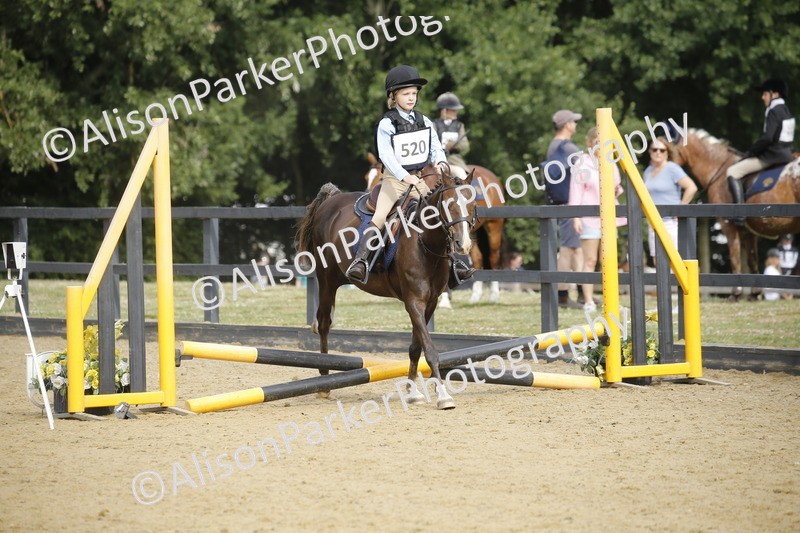 20250622-1413 - 40cm