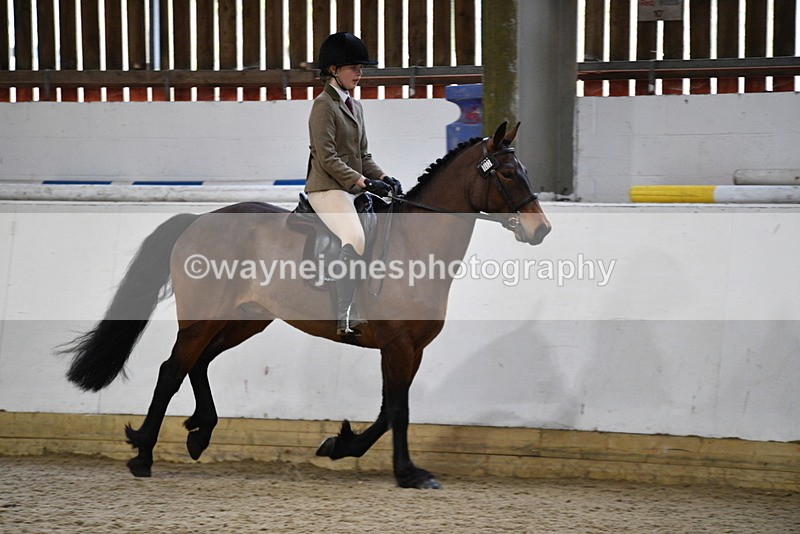 WJ5_7246 - Class 11 Ridden PC - RC Pony