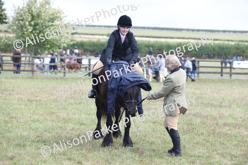 20250831-2435 - Class 16 - Family Pony